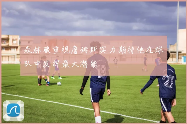 森林狼重视詹姆斯实力期待他在球队中发挥最大潜能
