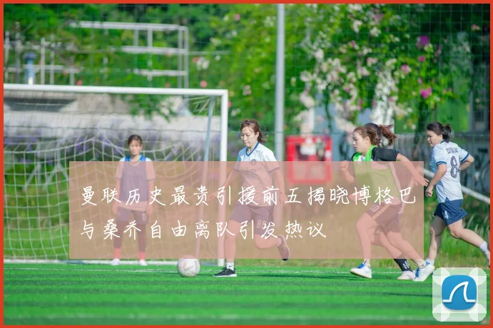 曼联历史最贵引援前五揭晓博格巴与桑乔自由离队引发热议